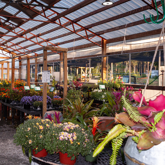 gardens of the blue ridge