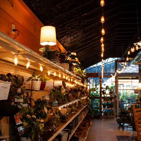 garden center near athens