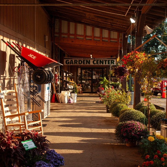 garden center danielsville