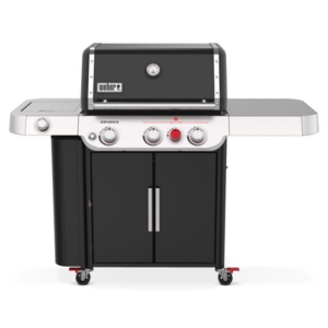 Weber Grill- Ace