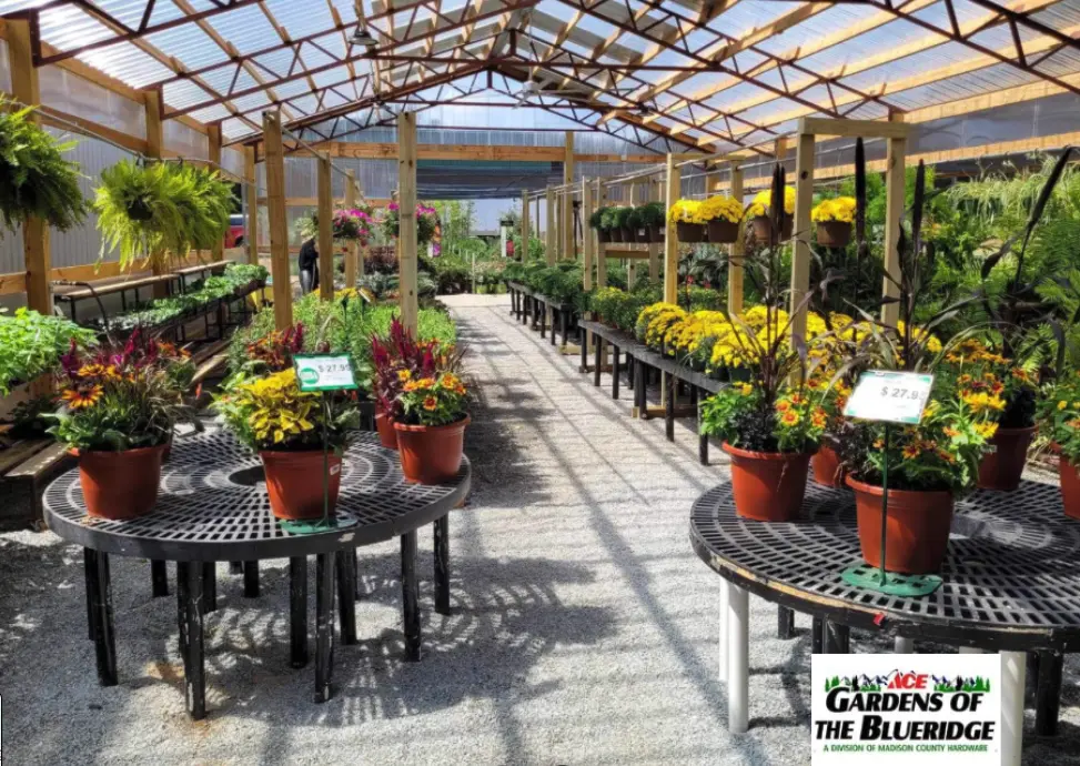 garden center ace hardware