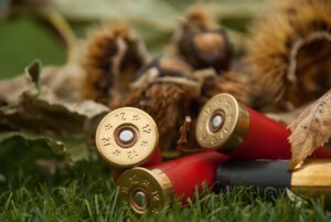 cartridges, armed, rifle ammunition, cartridges, cartridges, cartridges, cartridges, cartridges, armed, rifle ammunition